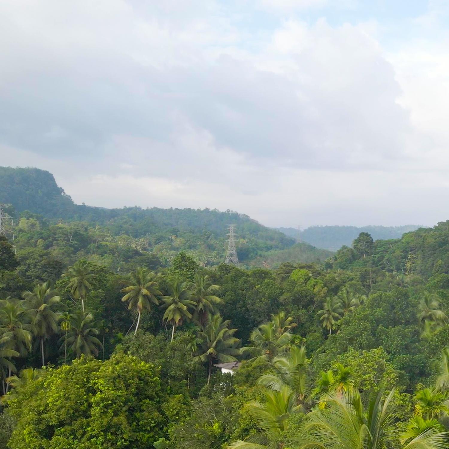 Dhighayu Ayurvedic Wellness Resort Kegalle Exterior foto